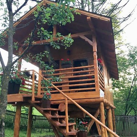 Complex Căsuțe Căsuța din cireș Moisei Villa Bagian luar foto