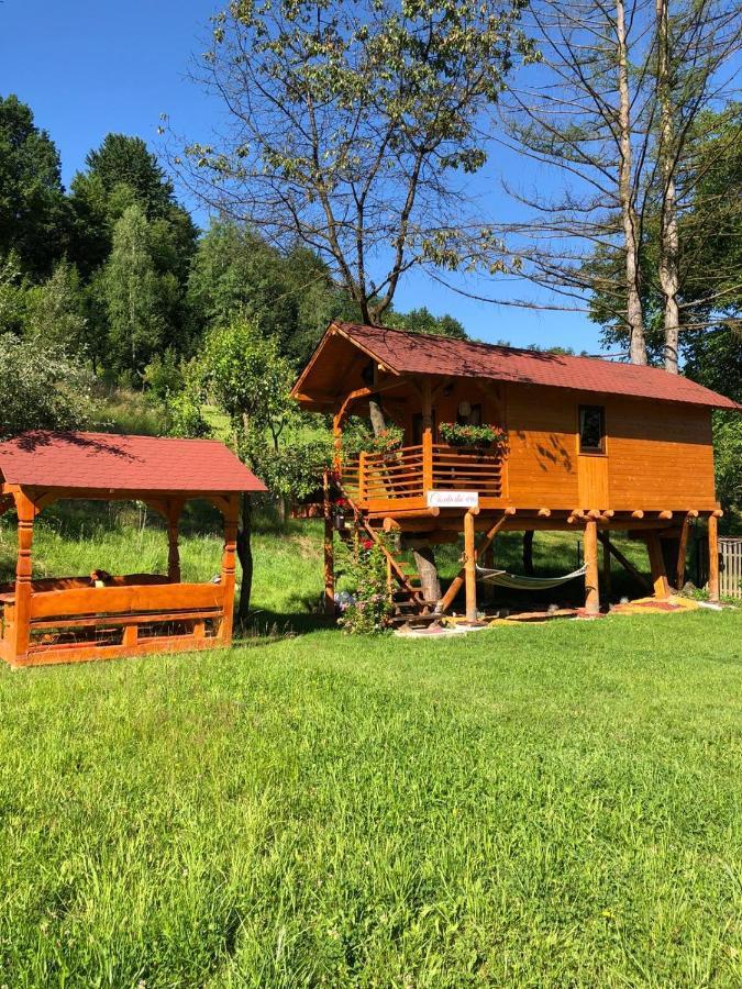 Complex Căsuțe Căsuța din cireș Moisei Villa Bagian luar foto
