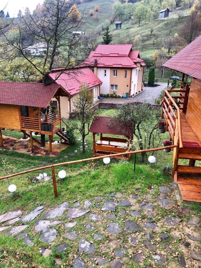 Complex Căsuțe Căsuța din cireș Moisei Villa Bagian luar foto