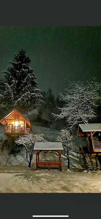 Complex Căsuțe Căsuța din cireș Moisei Villa Bagian luar foto