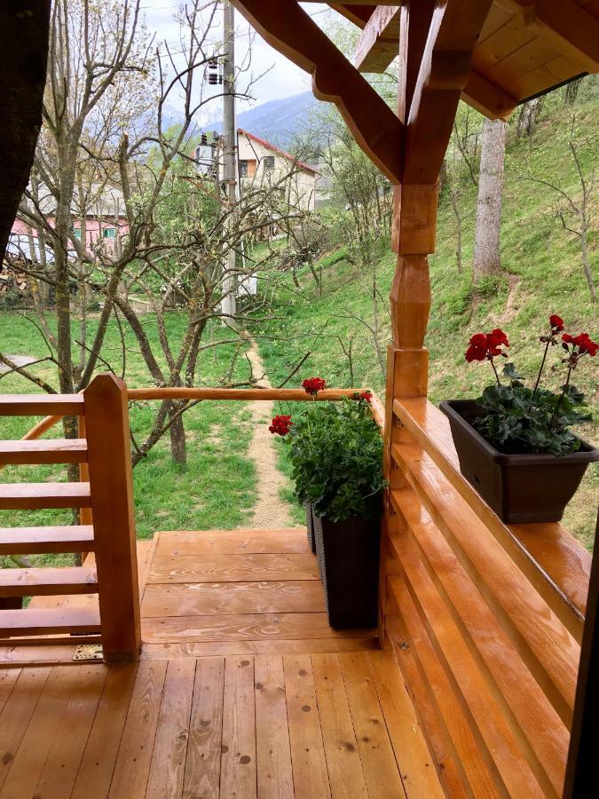 Complex Căsuțe Căsuța din cireș Moisei Villa Bagian luar foto