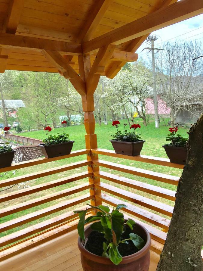 Complex Căsuțe Căsuța din cireș Moisei Villa Bagian luar foto