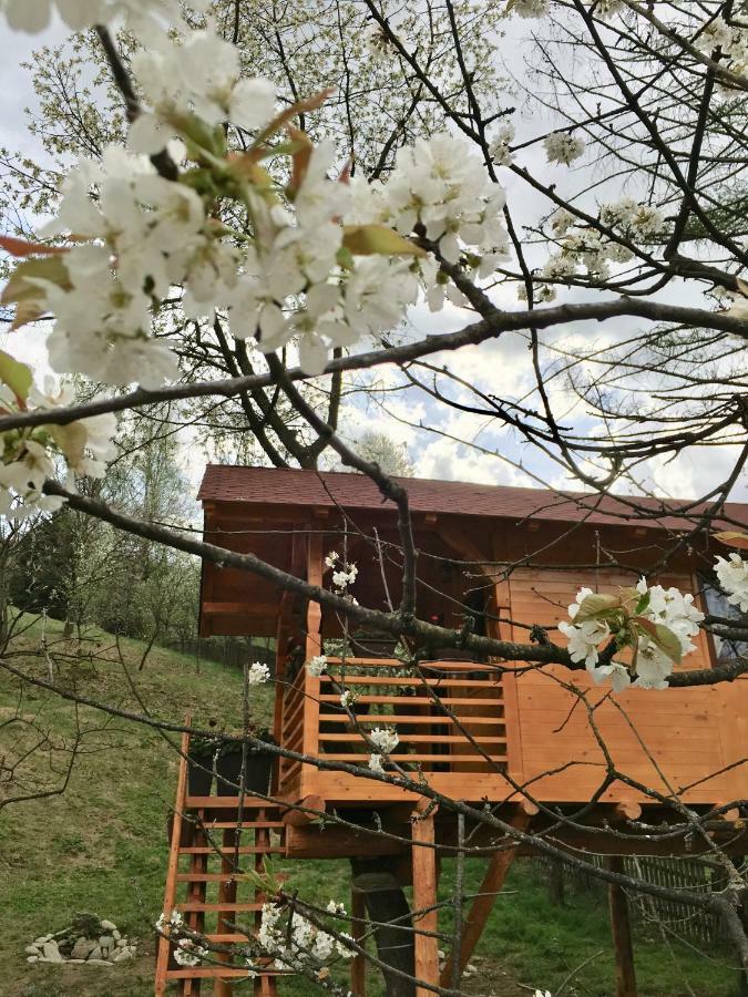 Complex Căsuțe Căsuța din cireș Moisei Villa Bagian luar foto