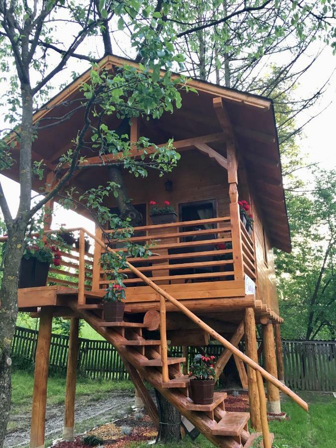 Complex Căsuțe Căsuța din cireș Moisei Villa Bagian luar foto